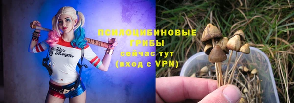 PSILOCYBIN Коряжма