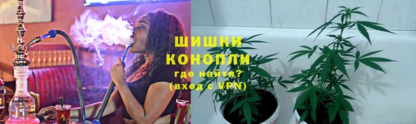 PSILOCYBIN Коряжма