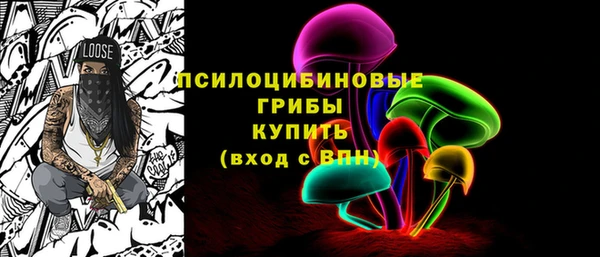 а пвп мука Корсаков
