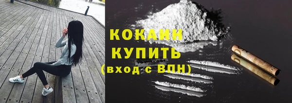 PSILOCYBIN Коряжма